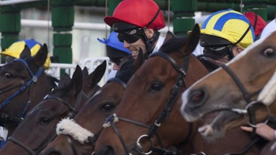 There is all-weather action at Newcastle on Tuesday